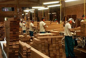 solidwood-flooring-production-oak-ipe-garapa-cumaru-teak-merbau-tigerwood-palisander-jatoba-and-many-others