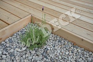 REAL DECK, Siberian Larch 28 x 145 mm smooth natural